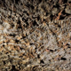 Illustration for article titled Children were prehistoric cave artists just like adults